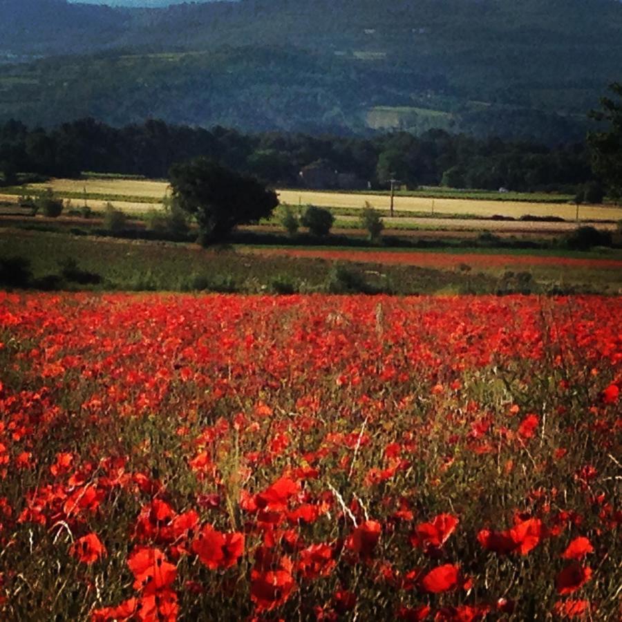 Le Mas De La Glycine Roussillon en Isere Exterior foto